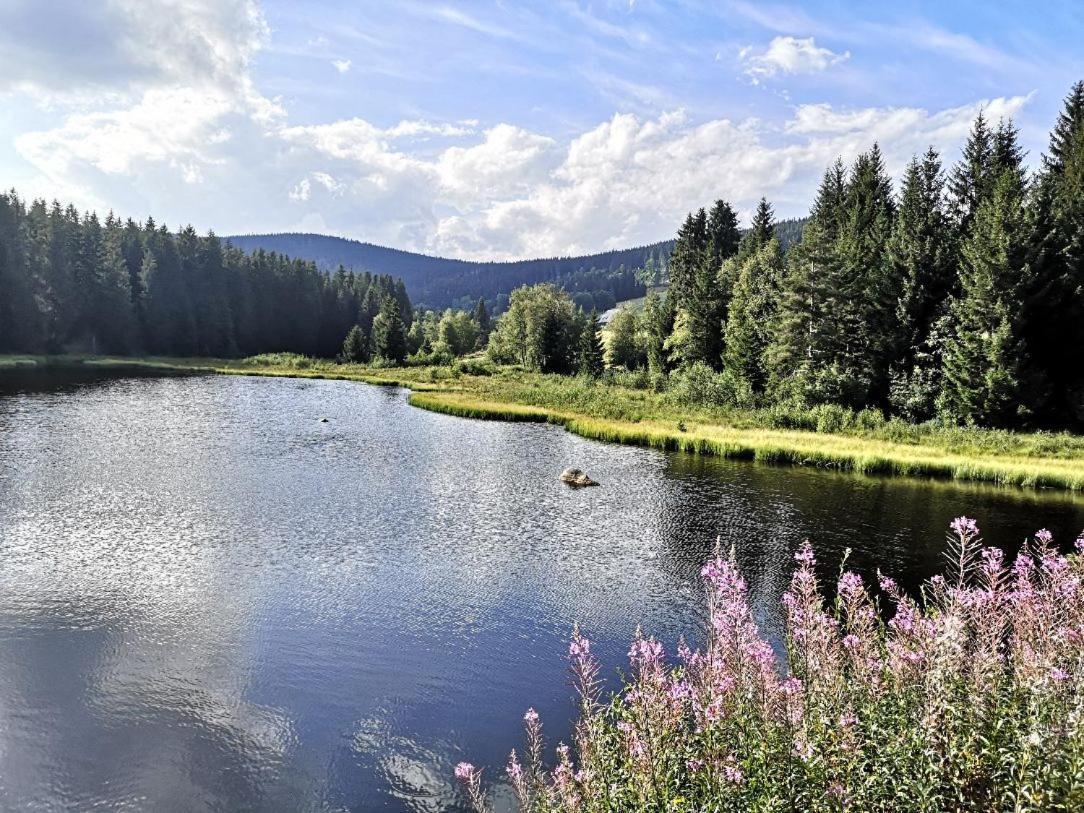Ferienwohnung B1 für bis zu 5 Personen Menzenschwand-Hinterdorf Exterior foto