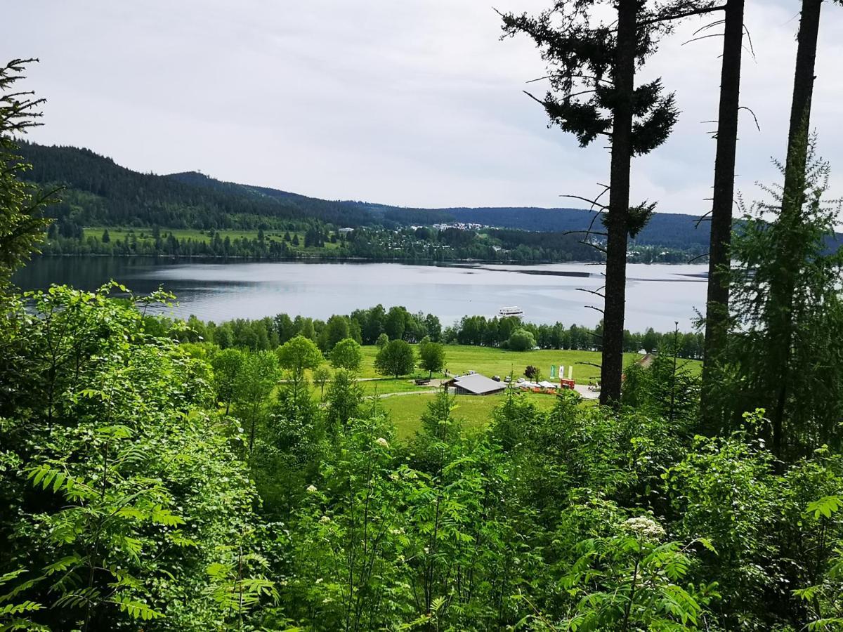 Ferienwohnung B1 für bis zu 5 Personen Menzenschwand-Hinterdorf Exterior foto