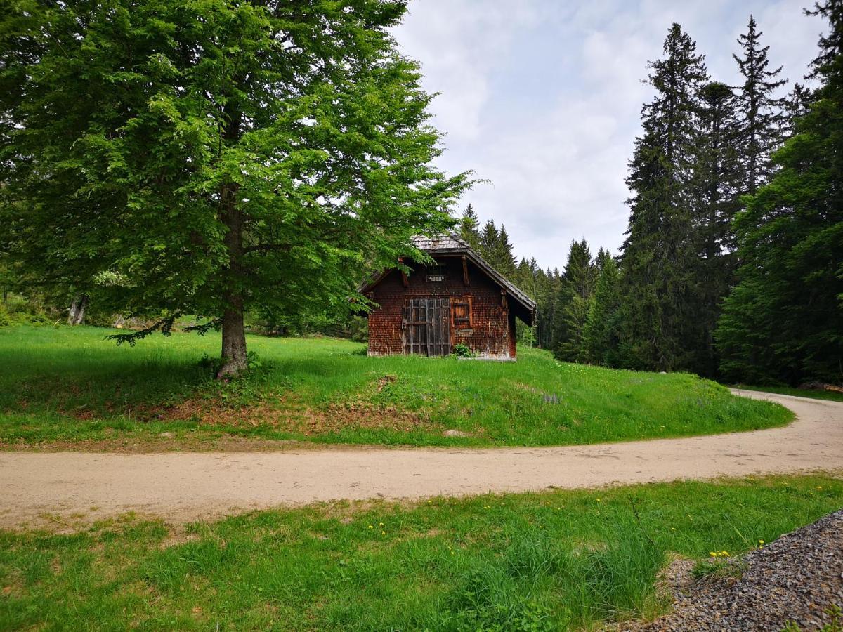 Ferienwohnung B1 für bis zu 5 Personen Menzenschwand-Hinterdorf Exterior foto